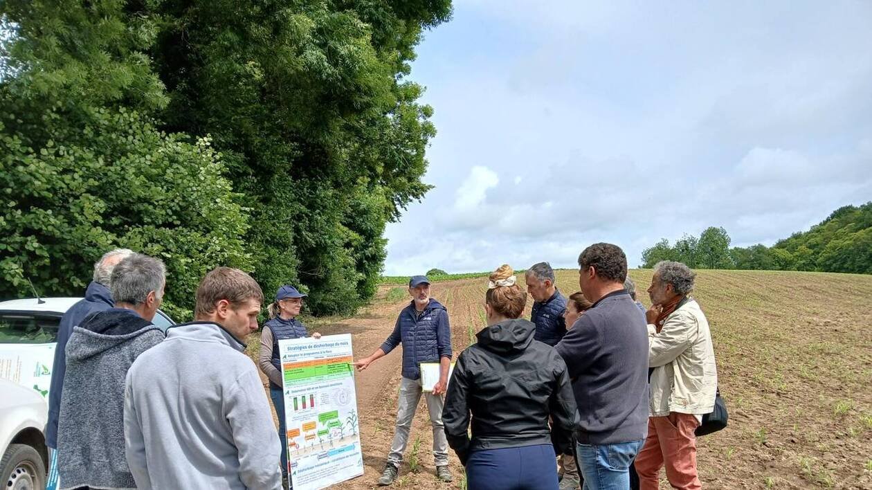Des pratiques et aménagements pour protéger les cours d’eau dans le Morbihan