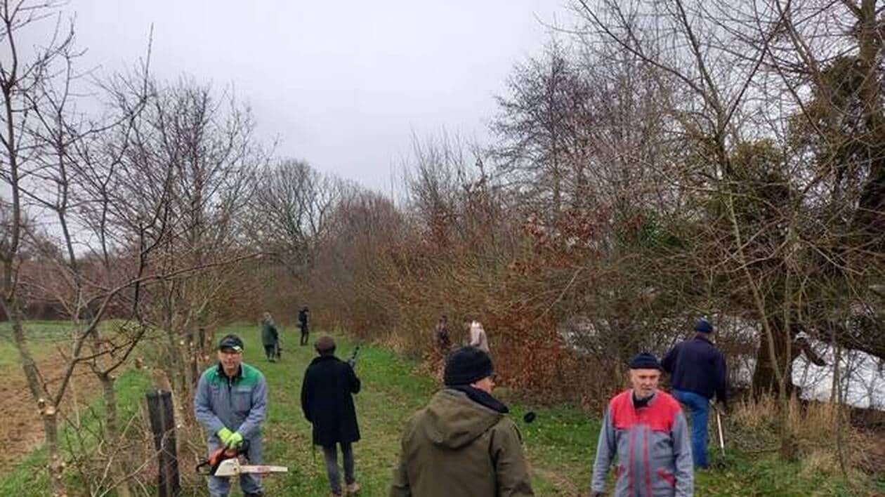 « Préserver, régénérer, entretenir » : ils veulent s’engager pour les haies