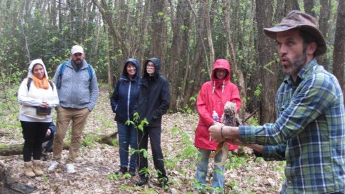 « Il a fallu marcher et tendre l’oreille ». La belle balade conté dans la forêt de Linières