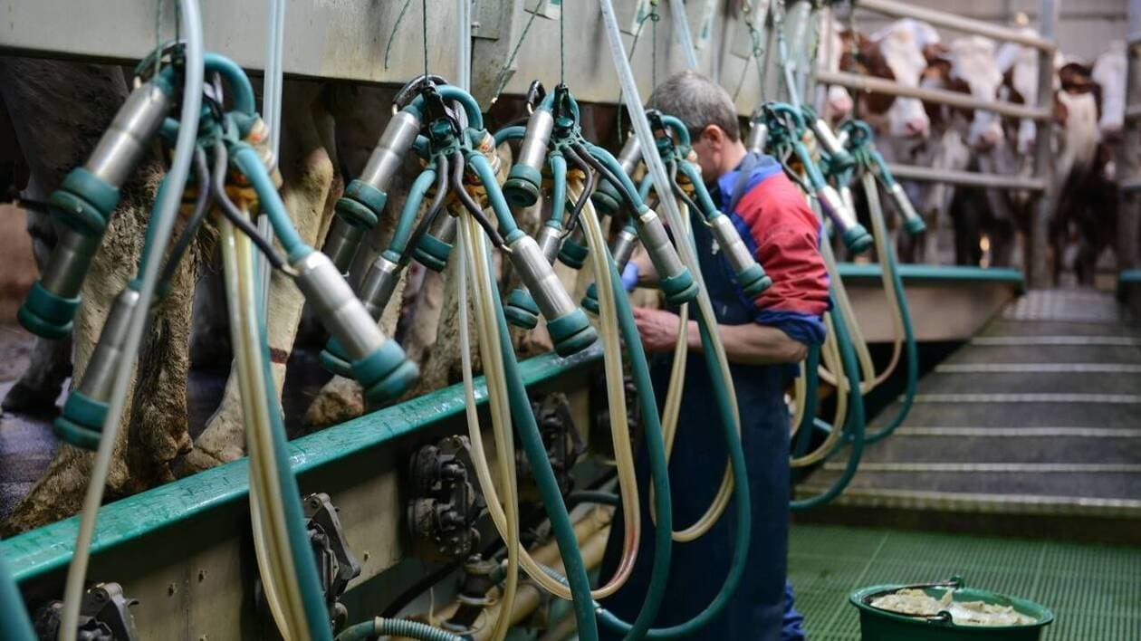 Pour lutter contre la détresse dans les fermes, Solidarité paysans se mobilise dans la Manche