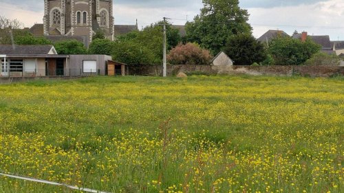 Erdre-en-Anjou. Le Thiberge va retrouver ses méandres naturels