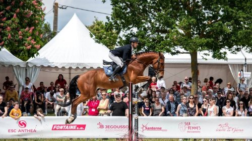 Concours de sauts d’obstacles, conférence, spectacle…, le cheval en fête avec les Équisports