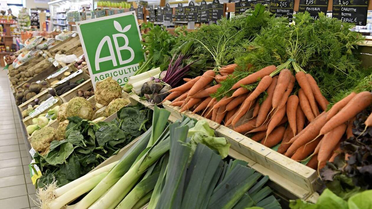 Biocoop organise une grande collecte de produits bio dans ses quatre magasins près de Vannes