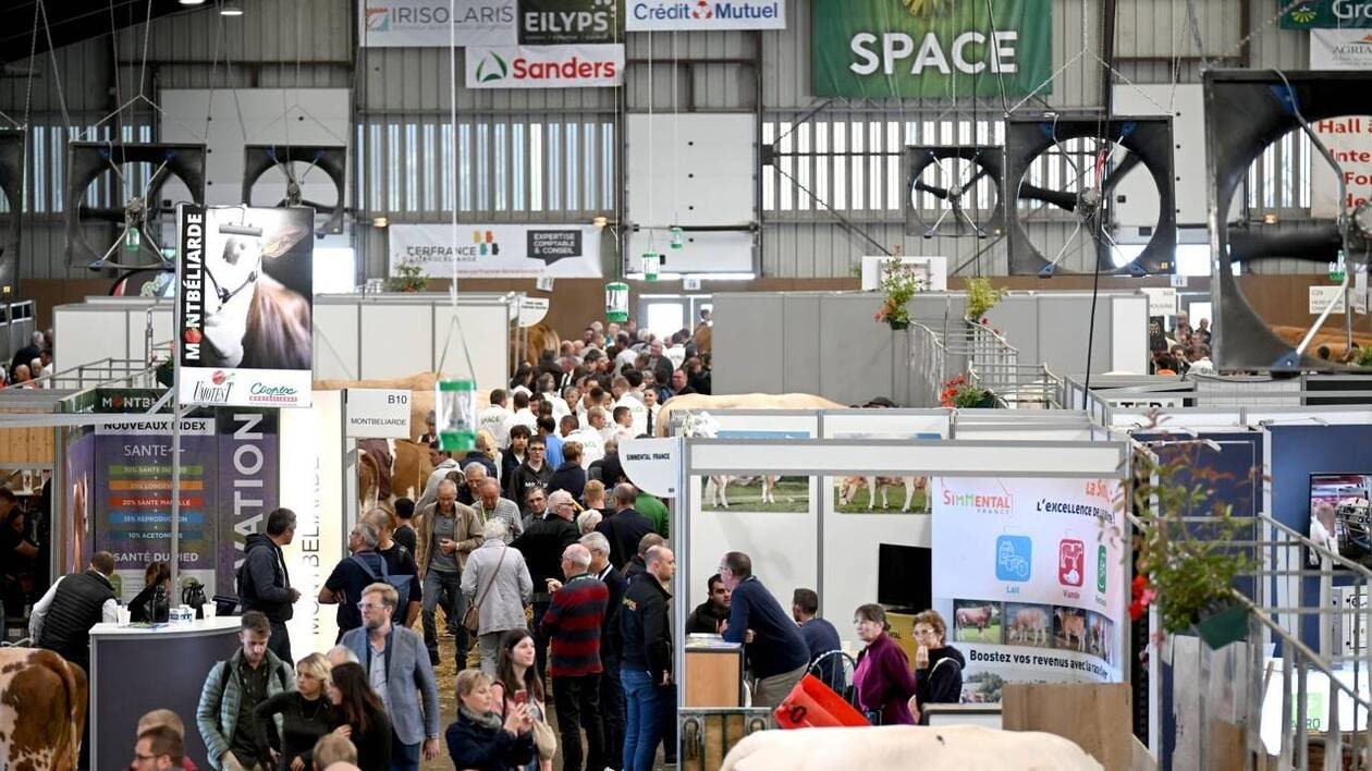Space, Sommet de l’élevage, Foire de Châlons… La belle revanche des grands rendez-vous agricoles