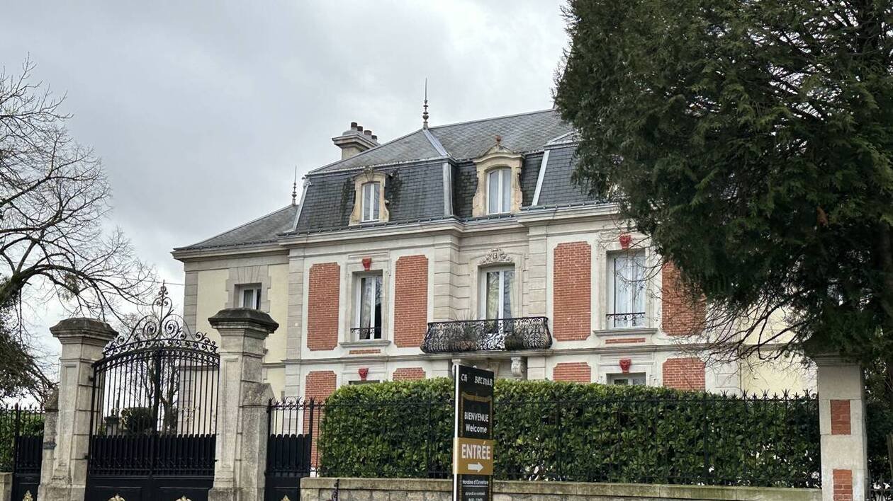 L’unique vignoble du nord Sarthe en liquidation judiciaire, ses propriétaires dans le viseur de la justice