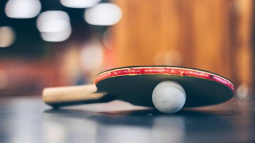 Les fans des frères Lebrun pourront s’offrir cette table de ping-pong (meilleur prix en ce moment)