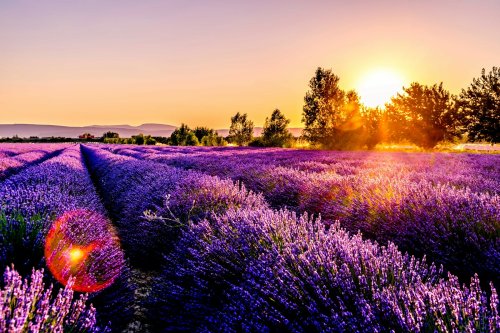Ces 6 beaux villages (pas des plus connus) de Provence à ne pas manquer