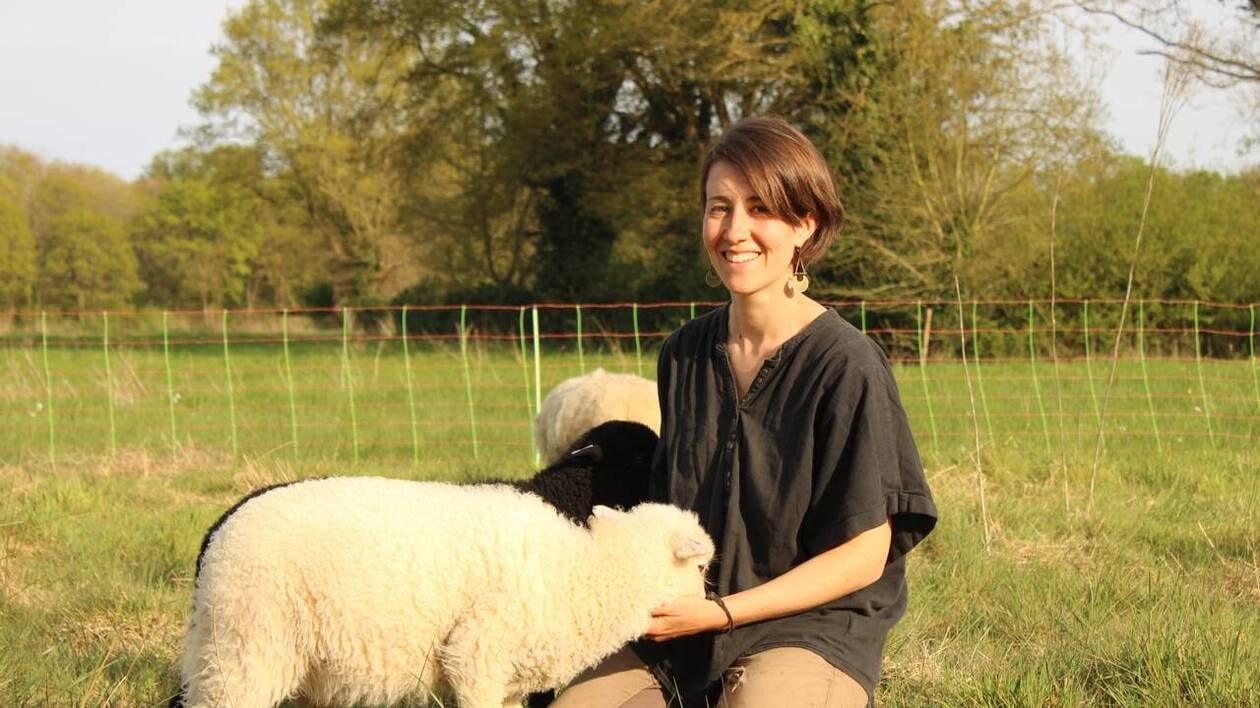 Reconvertie dans l’agriculture, Solène élève des brebis dans sa ferme en Anjou : « Une liberté ! »