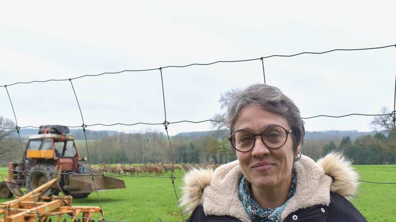 PODCAST. Soazig élève des cervidés dans le Morbihan