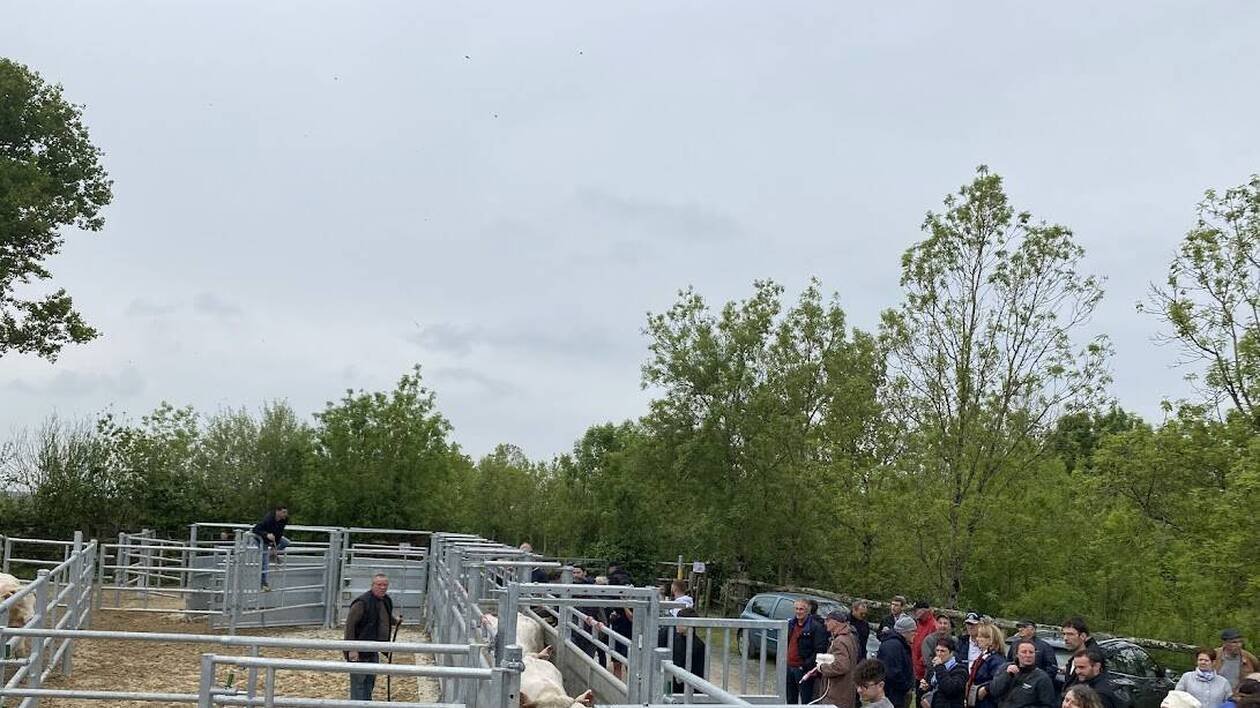 Le parc de contention fait peau neuve aux Magnils-Reigniers