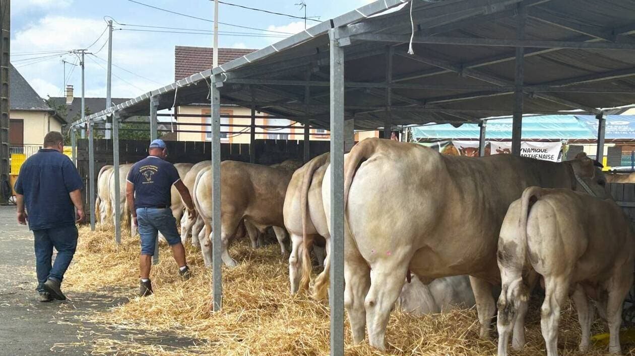 « C’est une tradition », la fête de la Madeleine a démarré à Mayenne