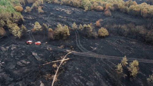 EN IMAGES. L’incendie en forêt de Brocéliande a laissé 400 hectares de désolation