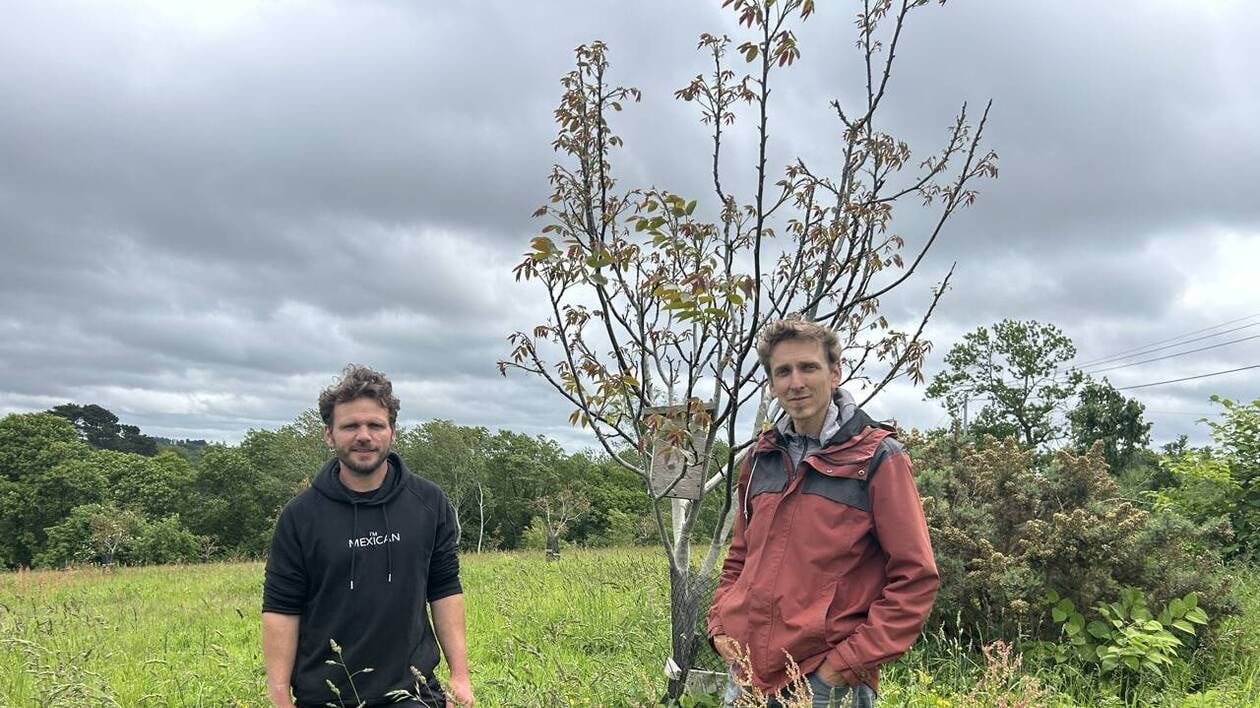 À Ploubezre, des vergers et un élevage, main dans la main pour la biodiversité