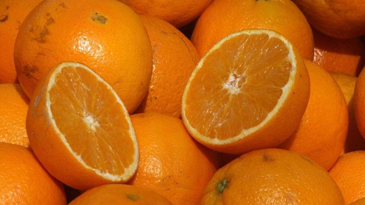 Pesticides. Des oranges à jus rappelées par Leclerc partout en France