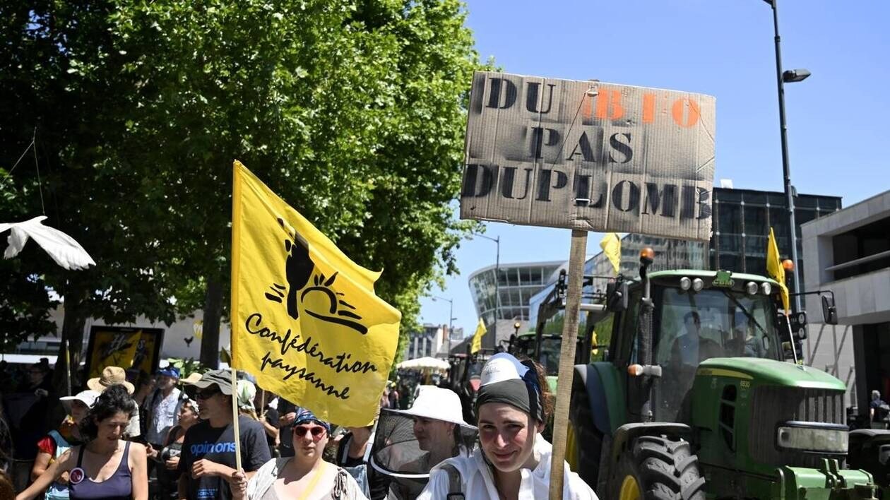 Loi Duplomb : pesticides, stockage de l’eau, bâtiments d’élevage… Ces points chauds qui font débat