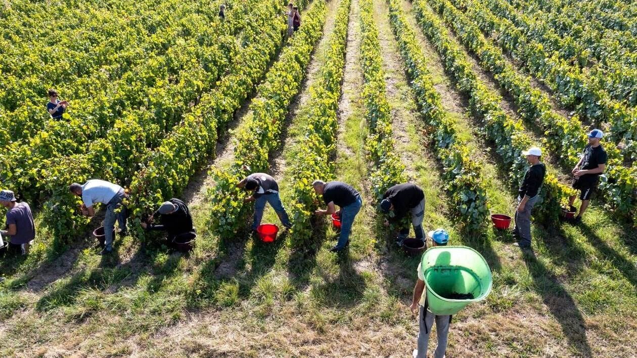 Droits de douane : vins et fromages risquent de durement trinquer