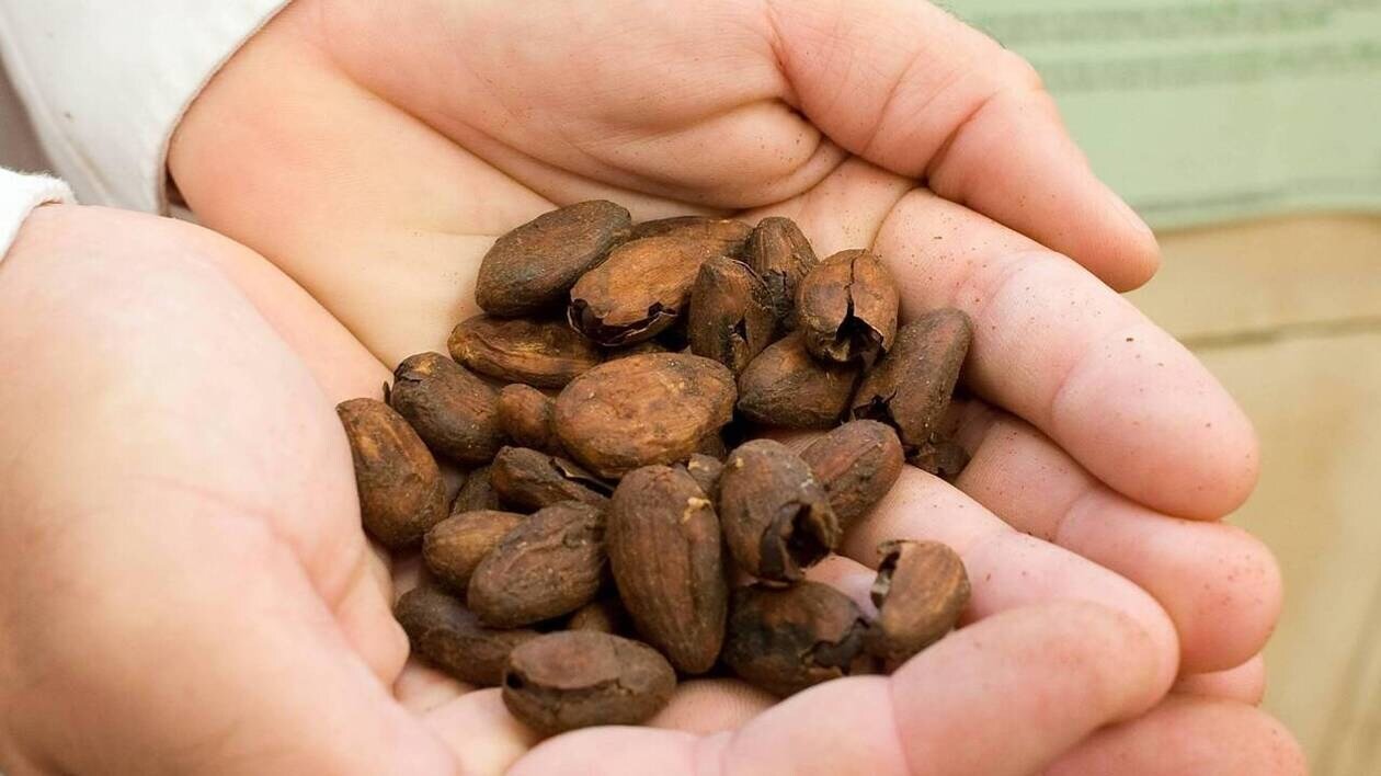 Chocolat, pain, biscuits… Le cadmium, ce métal lourd présent dans notre alimentation