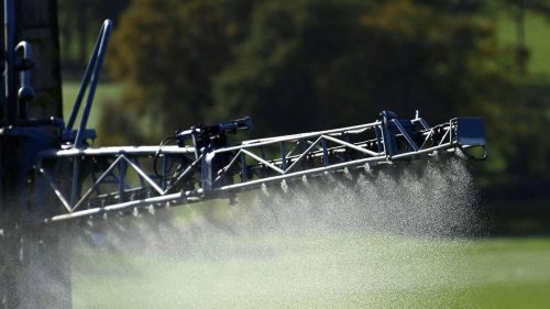 Longtemps repoussée, l’interdiction de l’herbicide flufenacet finalement actée par l’Europe