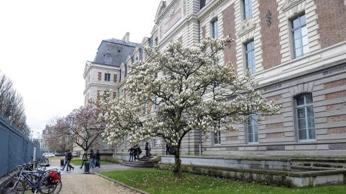 « Pas un mot de compassion » : dans ce collège rennais, la victime de harcèlement se fait exclure