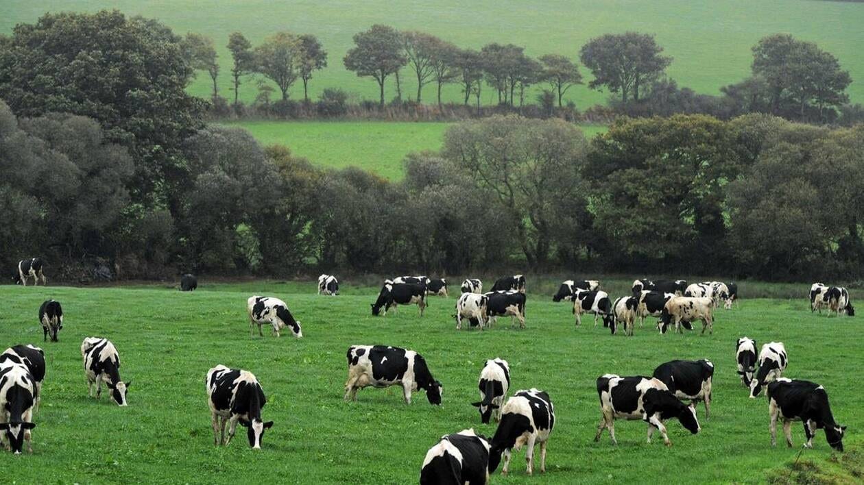 À Lisieux, une rencontre pour informer les agriculteurs sur les aides régionales