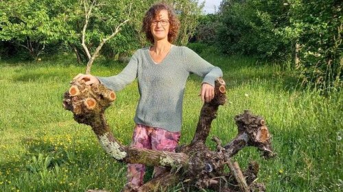 Trois jardins où profiter de la Fête de la nature