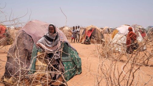 Dans la Corne de l’Afrique, la pire sécheresse depuis quarante ans