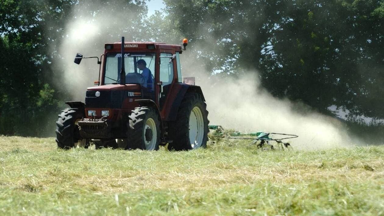 Terres agricoles : des transmissions en recul en Pays de la Loire, malgré des prix stables