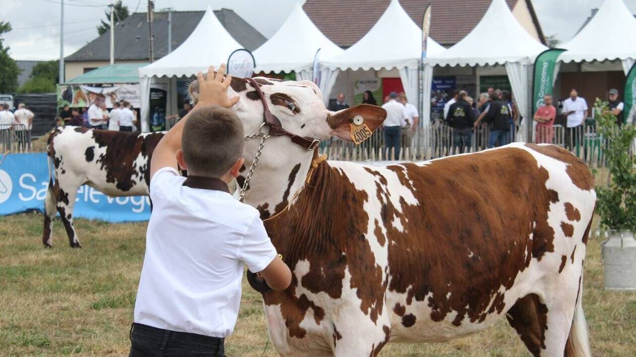 La fête de la Madeleine a débuté à Mayenne