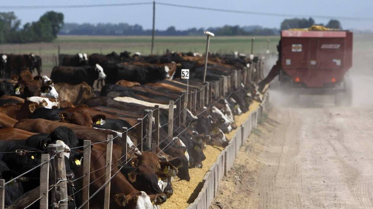 L’origine des viandes « Mercosur » est-elle garantie ?