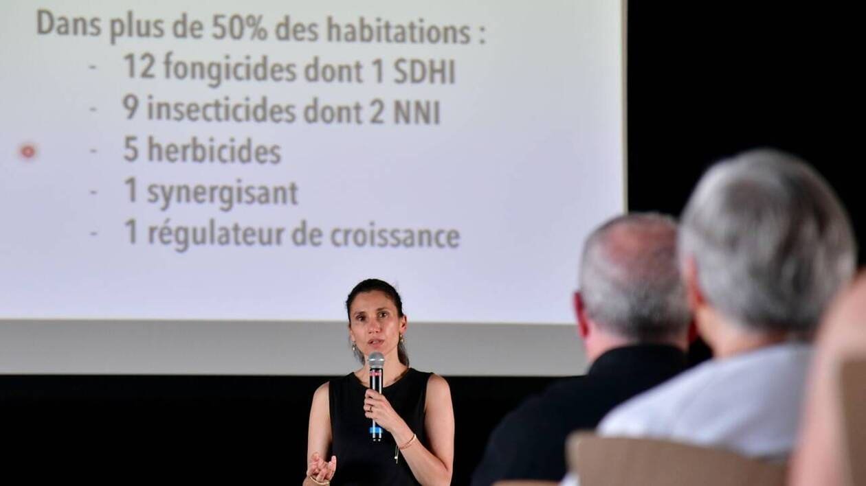 Ce pesticide toxique banni depuis 53 ans niche encore dans nos maisons : « Comment est-ce possible ? »