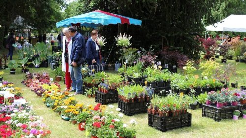 Fête de la nature, Nuit des musées… Nos idées de sorties pour ce week-end dans le pays de Lorient