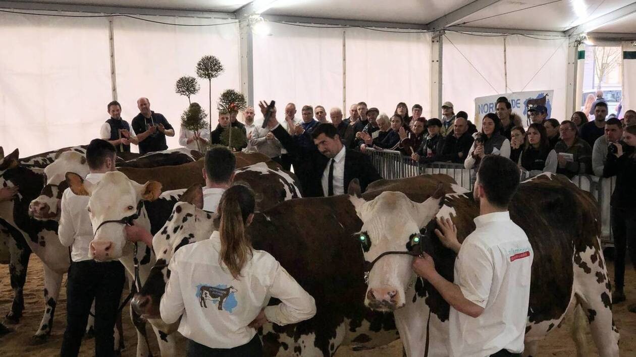 « C’est un week-end qui fait du bien » : à la Fête de la Normandie à Argentan, le Festival de l’élevage confir