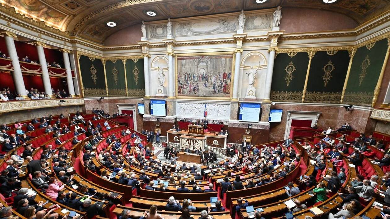 Loi Duplomb adoptée à l’Assemblée nationale : comment ont voté les dix députés de Seine-Maritime ?