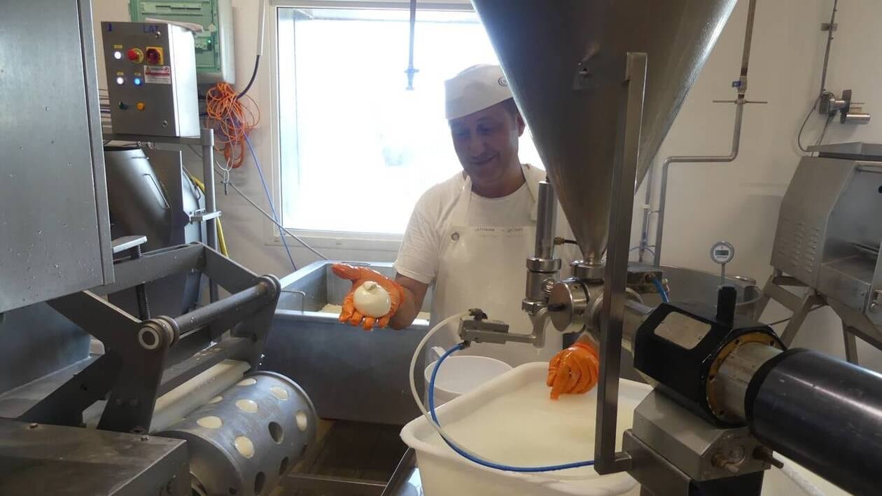 « Un savoir-faire rare » : dans l’Orne, ils fabriquent de la mozzarella et de la burrata