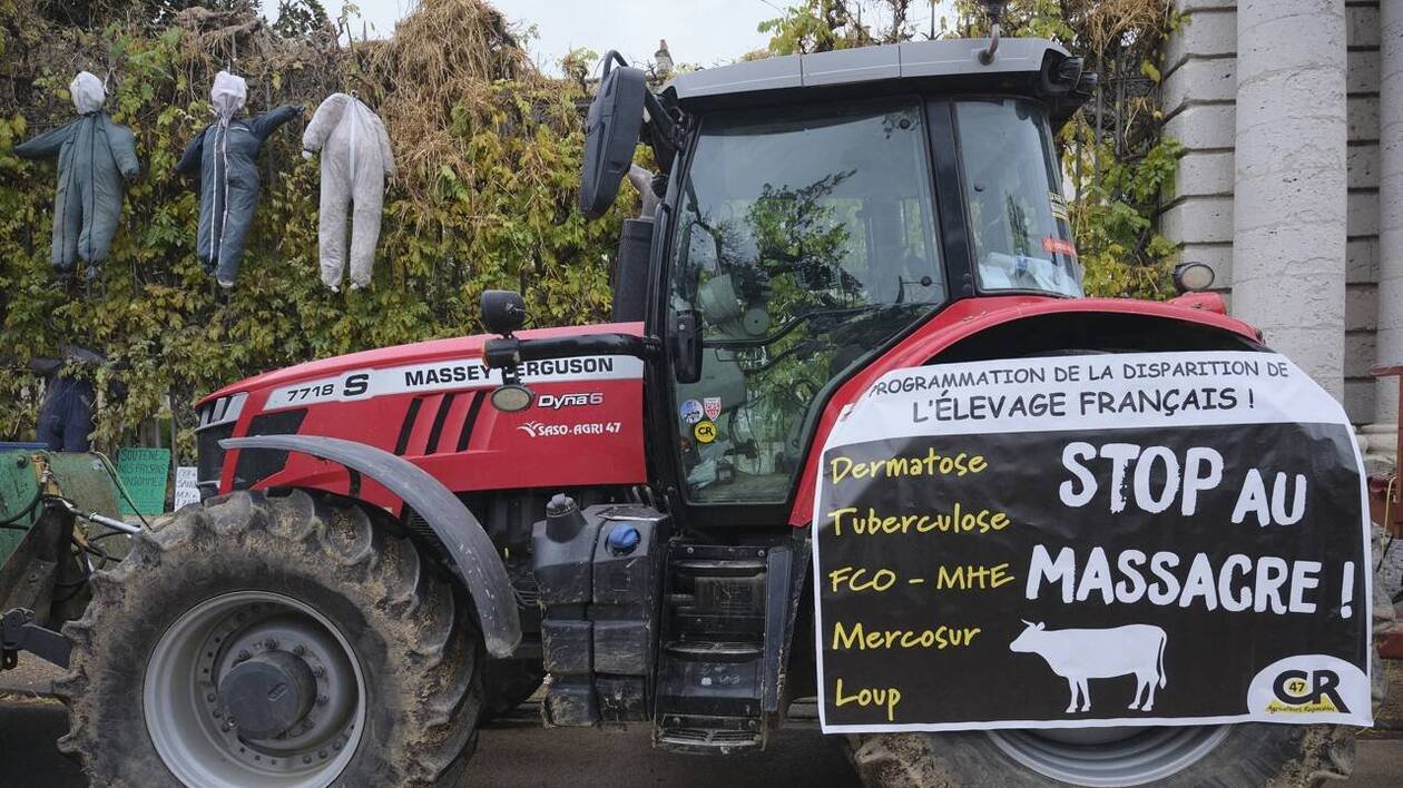 Colère des agriculteurs : la mobilisation en net recul hormis dans le Sud-Ouest