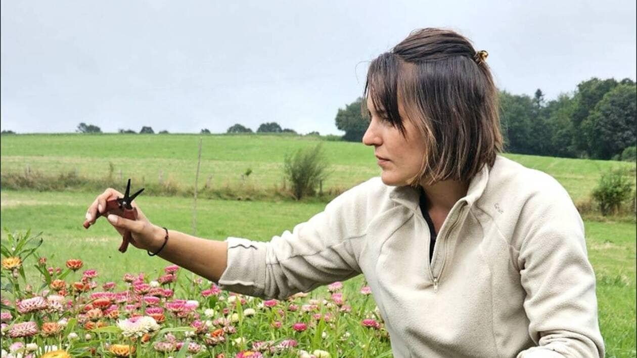 Aux Jardins de Rosemary, elle sème et fait pousser des fleurs pour des compositions