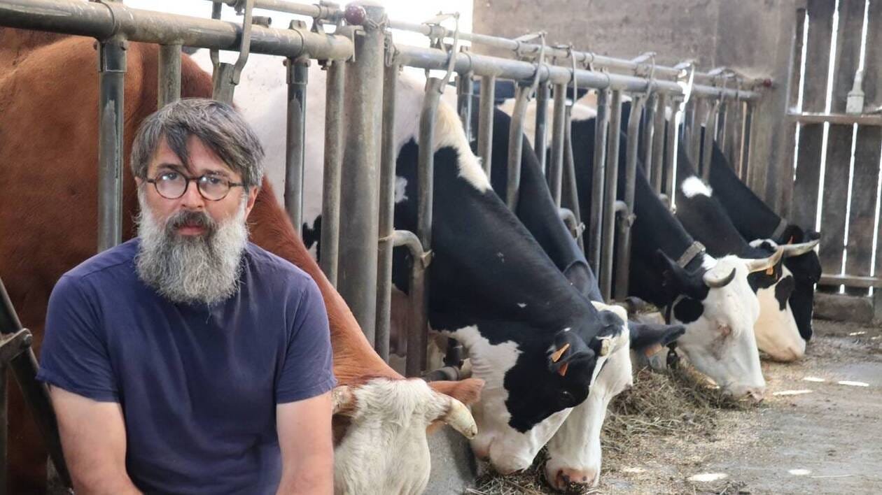 « C’est un tsunami qui arrive » : inquiétude des éleveurs bretons face à la fièvre catarrhale ovine