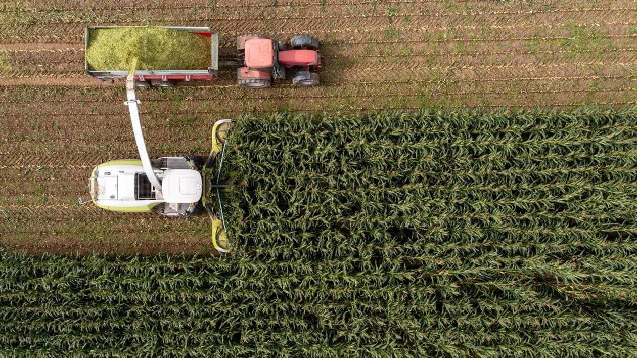 Agriculture : la coopérative Eureden lève 520 millions d’euros