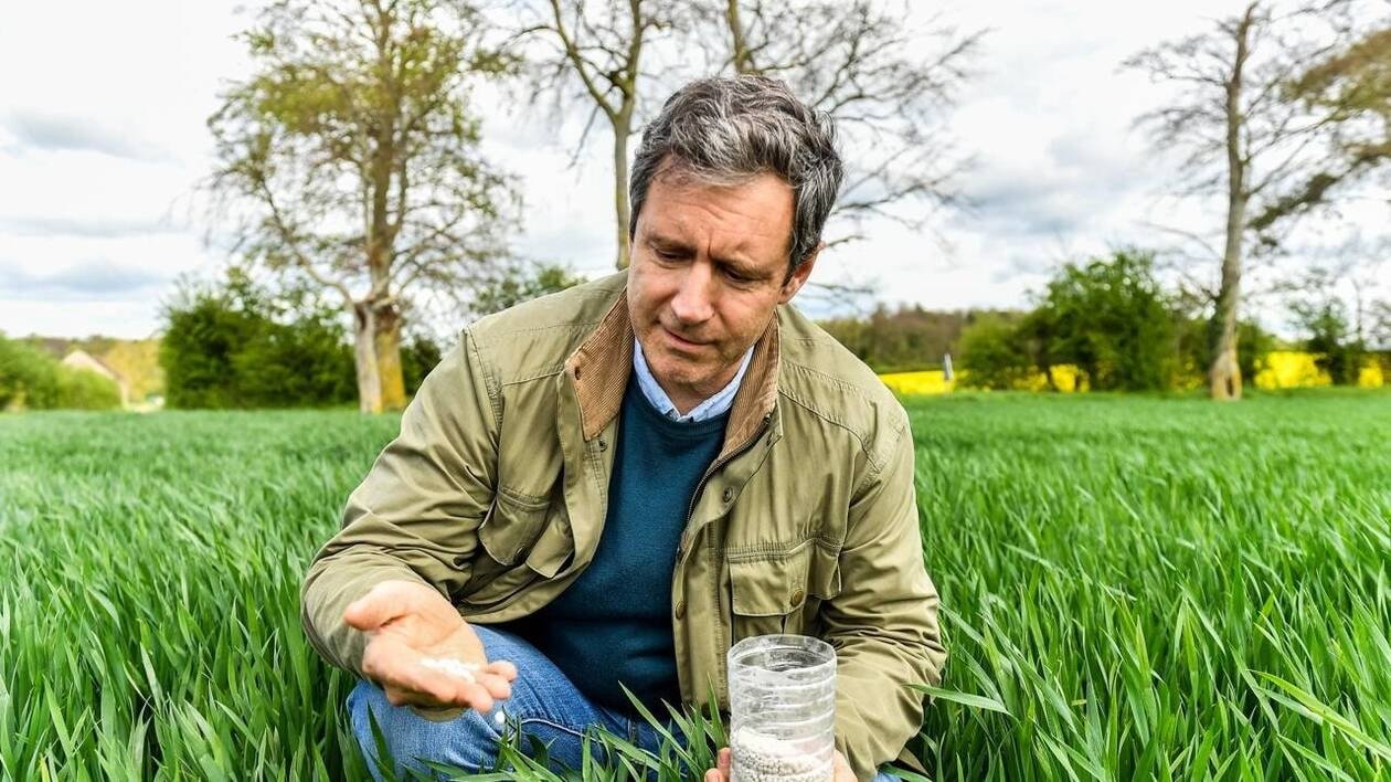 « Le rendement du blé dépend de la fertilisation »