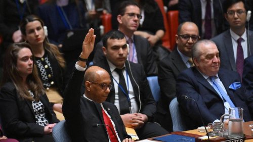 Pleine adhésion de la Palestine à l'Onu : les États-Unis mettent leur veto