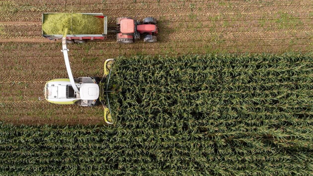 Aléas climatiques et sanitaires, nombre d’agriculteurs… Les défis de la ferme France
