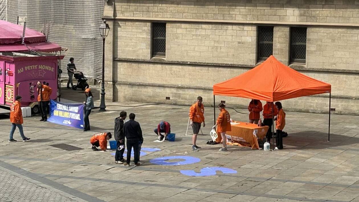 À Caen, l’association L214 se mobilise pour « le sauvetage du siècle »