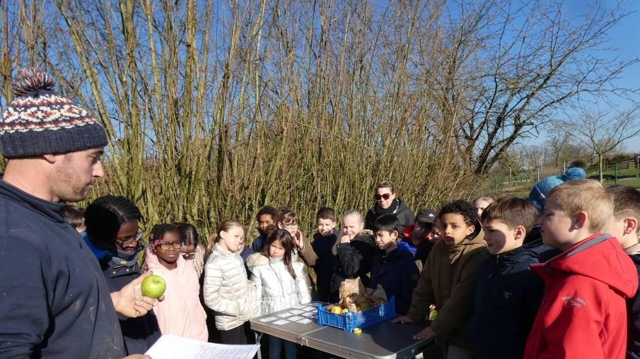 À Domalain, vingt-huit arbres fruitiers plantés pour créer un verger partagé