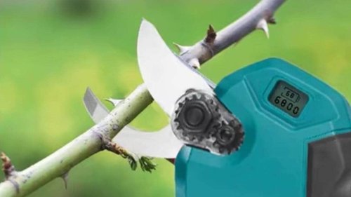 Pour les beaux jours, ce sécateur électrique sans fil à moins de 40 euros coupe sans fatiguer