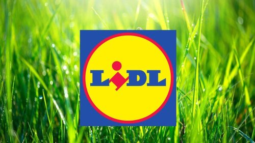 Avec son volume de 23L, ce pot de fleurs Lidl à moins de 5 euros est parfait pour les beaux jours