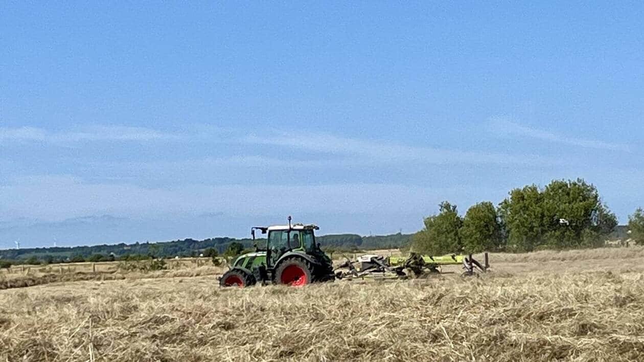 Une ferme sans repreneur à Machecoul : la Ville s’en mêle