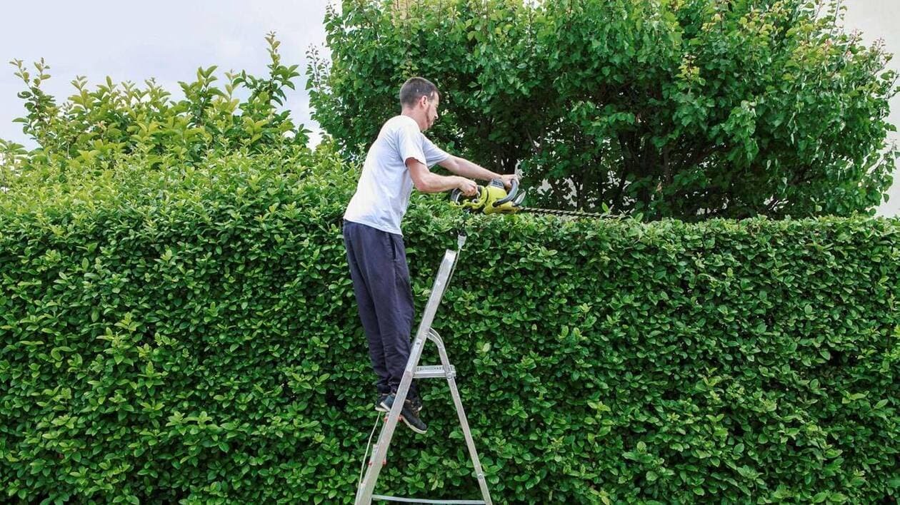 Environnement. « Des haies pour la vie »