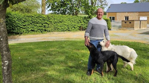 « L’Amour est dans le pré ». Renaud, l’éleveur mayennais, n’a pas « renoncé à trouver l’âme sœur »