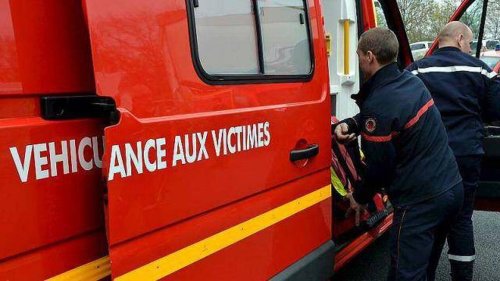 Vaucluse. Les squelettes d’une femme de 65 ans et de son chat retrouvés dans un appartement