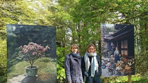 Exposition, jeux, histoire, botanique… Le domaine de Trévarez lance sa saison 2025, ce samedi